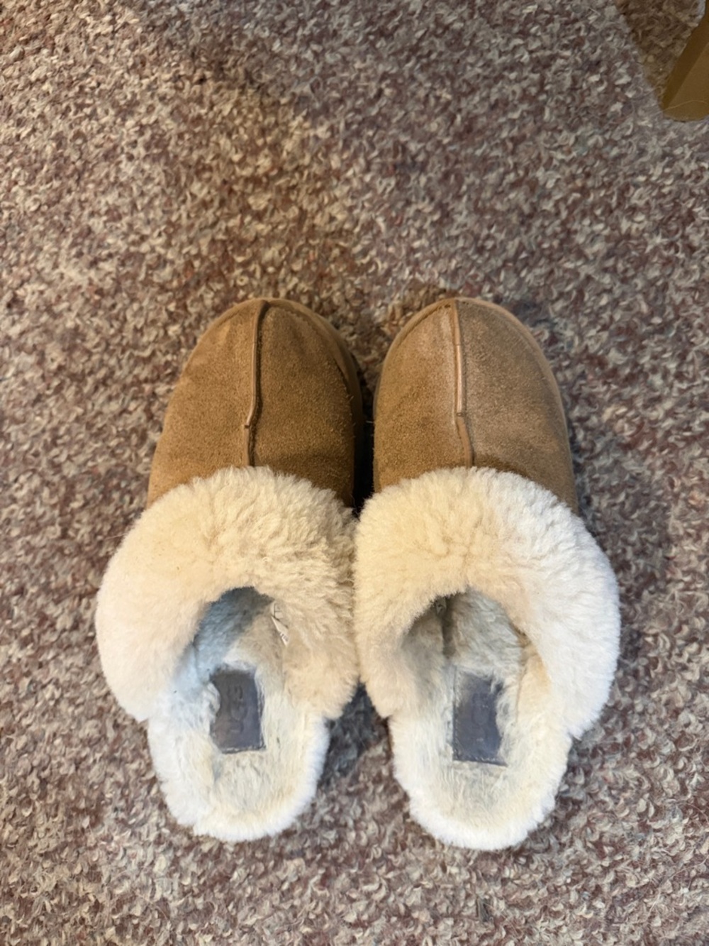 Cozy Shearling-Lined UGGS in Chestnut Brown